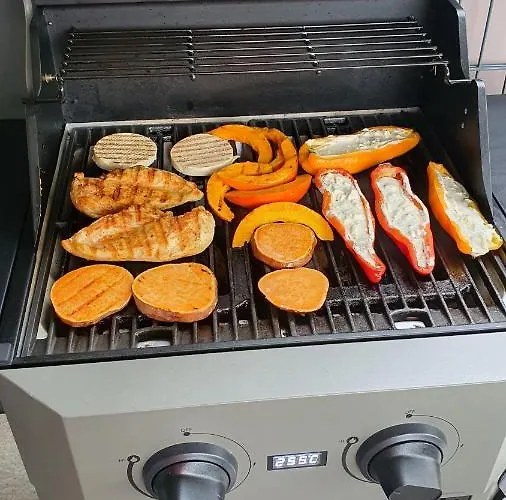 Fountain - Garden - Luxurioeses Mit Garten & Terrasse Apartment Gmunden