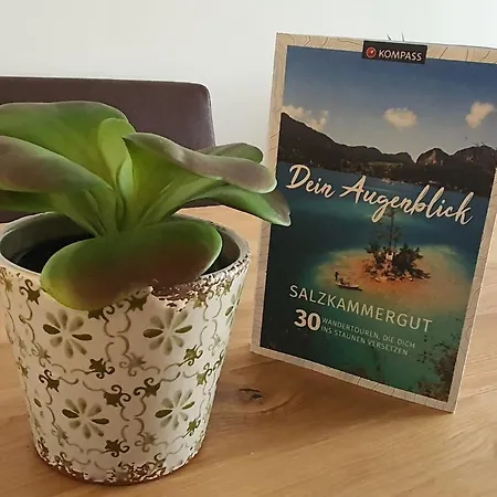 Luxuriöses Apartment mit Garten&Terrasse - Fountain Suite garden