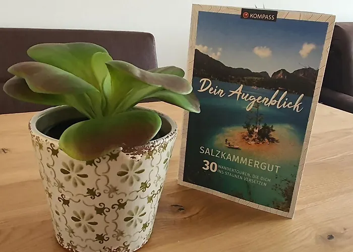 Fountain - Garden - Luxurioeses Mit Garten & Terrasse